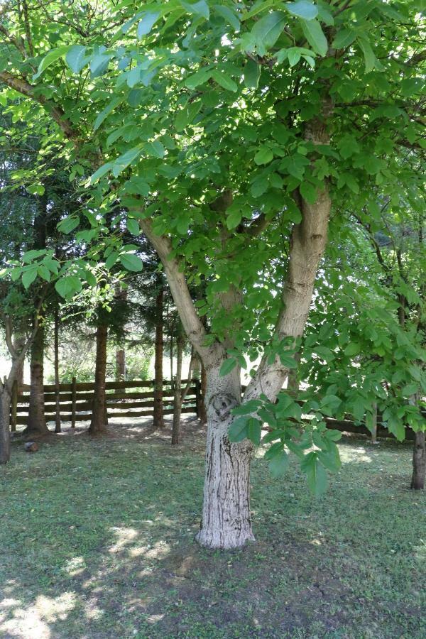 Holiday Home "Iris" Near Plitvice Lakes Rudanovac Exteriör bild